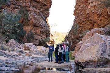 Half Day West MacDonnell Ranges Morning Tour: From Alice Springs