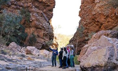 Half Day West MacDonnell Ranges Morning Tour: From Alice Springs