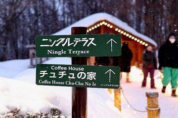 Hokkaido Biei Private Tour