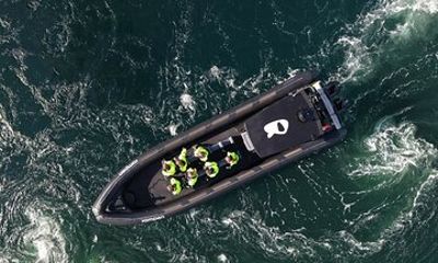Zodiac Experience Saltstraumen and Eagle Safari
