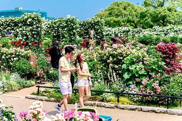 Yokohama Walking Tour Chinatown Temples and Bayside