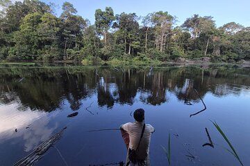 The Jungle of Mirrors 5 Days