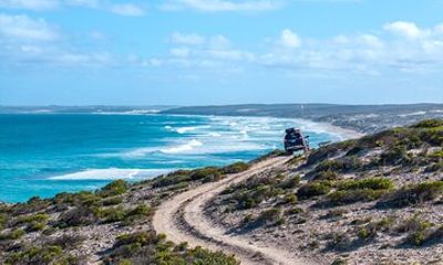 Port Lincoln National Park Half day Tour