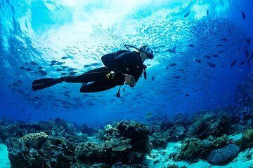 Beginner Scuba Diving in Alanya with Lunch and Transfer