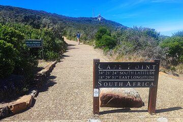 Cape of Good Hope and Penguins Full Day Tour