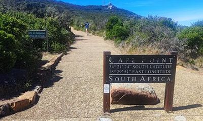Cape of Good Hope and Penguins Full Day Tour