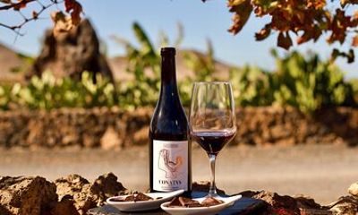 Fuerteventura: Wine Tasting and El Cotillo Afternoon Escape