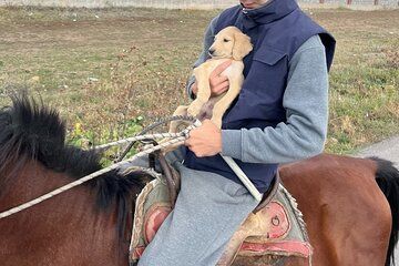 Kazakh Horseback Hunting and Yurt Dinner