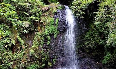 Tour to discover the lush North and waterfalls