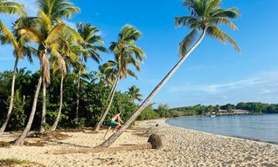 Tour to discover the paradisiacal beaches of the South (Salines)