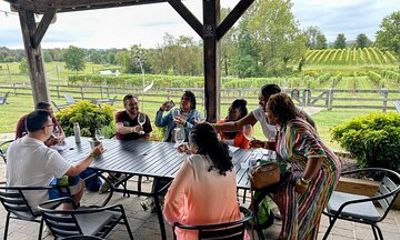 3 VA Wineries Day Trip with Optional Tasting-Inclusive Upgrade