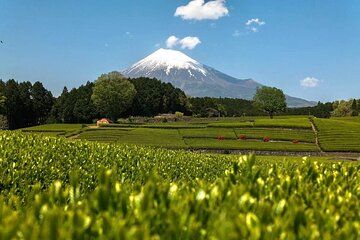 Private Mt Fuji Highlights Tour with a Local Japanese Guide