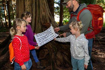 Scavenger Hunt Adventure with Geocaching in Whistler