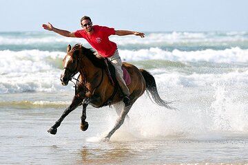 3-Hour Horseback Adventure – Sand Dunes to Tifnit Beach