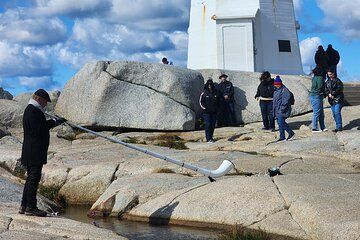 Peggy's Cove Excursion