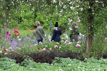 Guided Thursday Tours at Mount Congreve Gardens