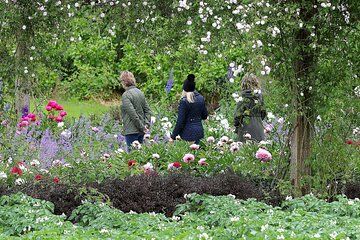 Guided Thursday Tours at Mount Congreve Gardens
