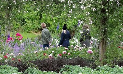 Guided Thursday Tours at Mount Congreve Gardens