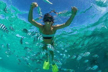 4 Hour Snorkel Anse Cochon and Anse Mamin as well as Sugar Beach