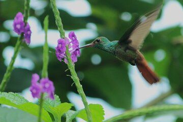 8 Day Customized Adventure in West Nicaragua