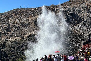 Canopy Tour and Flea Market