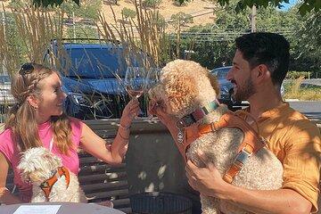 Dog Friendly Custom Wine Tour in Private Luxury SUV