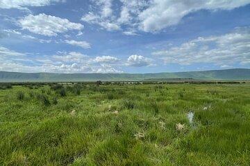 Day Trip to Ngorongoro Crater Garden of Eden