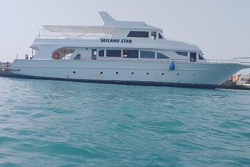 VIP Private Boat Trip to Dolphin House or Paradise or Orange Bay