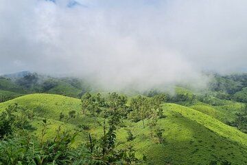 Kochi to Munnar Private Full Day Guided Tour With Hotel Pickup