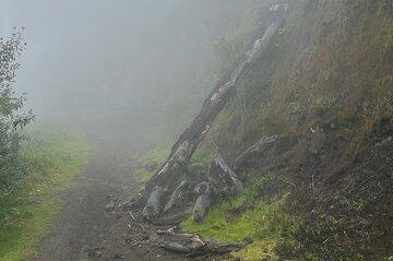 Hiking around Turrialba Volcano