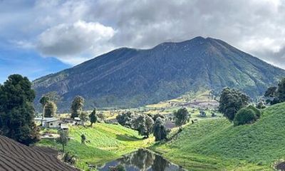 Hike the rainforest & burned forest surrounding Turrialba Volcano