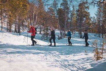 Easy Snowshoe Adventure in the Arctic Wilderness