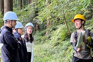 Forest Tourism and Woodcraft with a Mountain Artist Near Tokyo