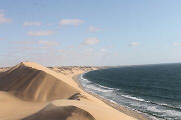 Half Day Sandwich Harbour Adventure Nature Dunes and Wildlife