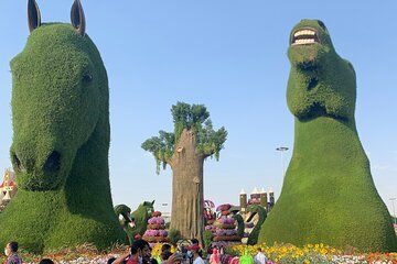 Miracle Garden Global Village with Transportation from Fujairah