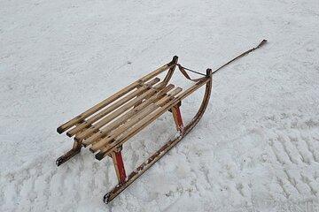 Private Sledding Ride and Fondue From Zurich
