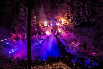 Black Forest Fairytale Tour