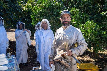 Meet the Bees Guided Apiary Tour and Honey Tasting