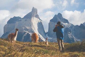 Puerto Natales Full Day Torres del Paine plus Milodon Cave