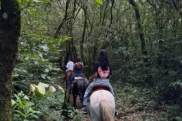Horseback Riding Adventure in Boquete’s Cloud Forest (2 pax/min)
