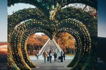 Transfer by car from the airport to the hotel