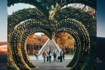 Transfer by car from the airport to the hotel