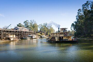 Murray River Cruise and Wildlife Adventure Private Tour