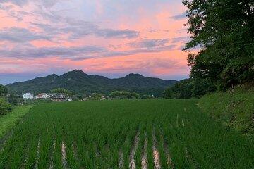 Hiroshima Forest Kyudo and Village Life Experience
