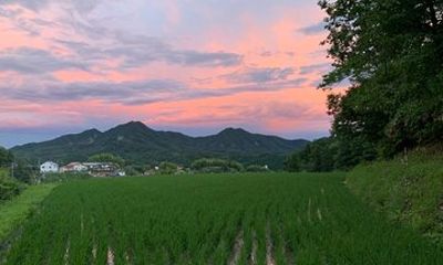 Hiroshima Forest Kyudo and Village Life Experience
