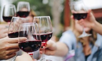 Florence Private Tour with Wine Tasting from Livorno