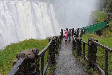 Victoria Falls Guided Walking Tour Zambian and Zimbabwe