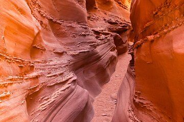 Exclusive Zion National Park Tours