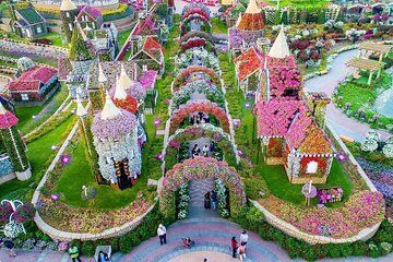Dubai Miracle Garden Private Tour by Car