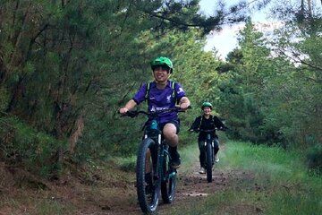 Fat Bike Tour of Tottori Sand Dunes with Sand Museum Visit